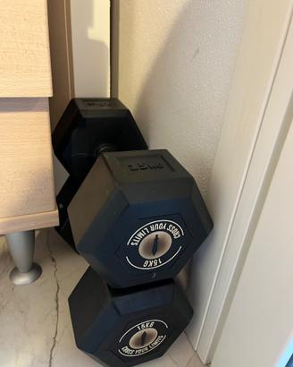Coppia Dumbbells Gladius 15 kg