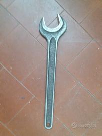 chiave del 50 . pappagallo 