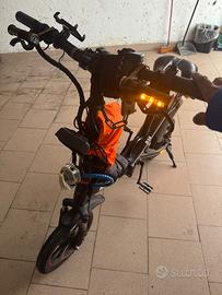 Bici elettrica