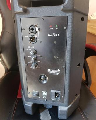 Cassa Amplificata