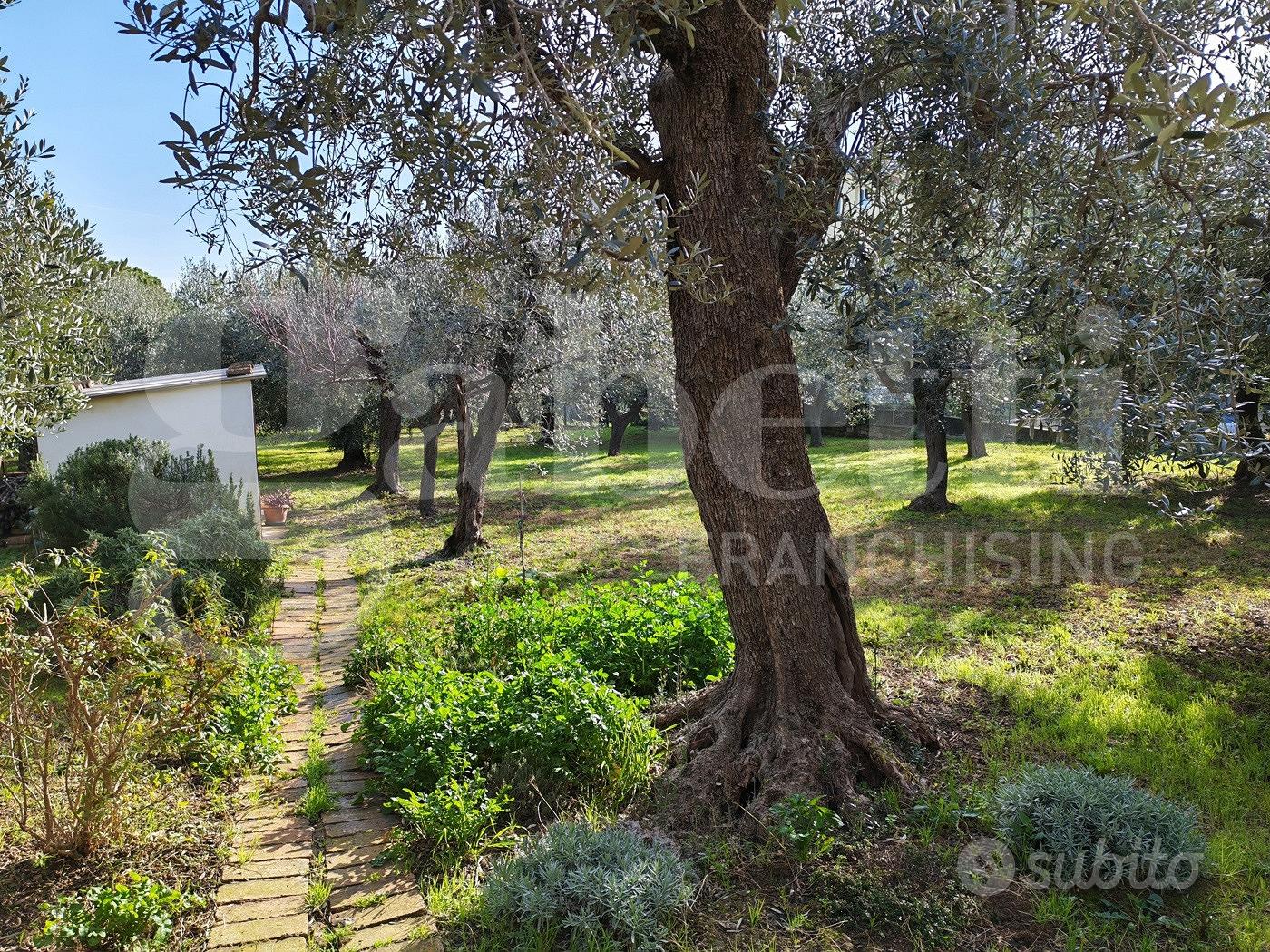 Terreno Residenziale Vasto [IM202593VRG] - Vista 4