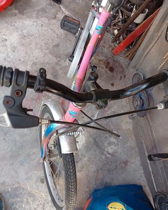 bicicletta 