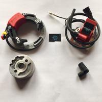 SELETTRA NO2019 3° omologata per Kart Tm e Modena