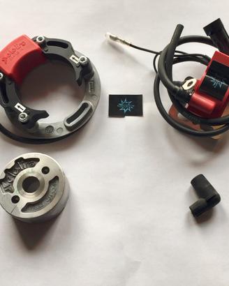SELETTRA NO2019 3° omologata per Kart Tm e Modena