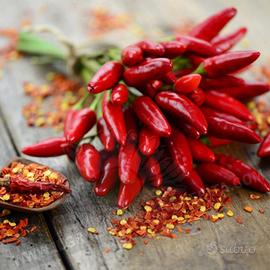 Peperoncino calabrese