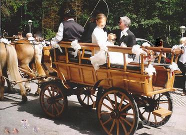 Carrozza per traino