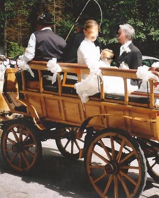 Carrozza per traino