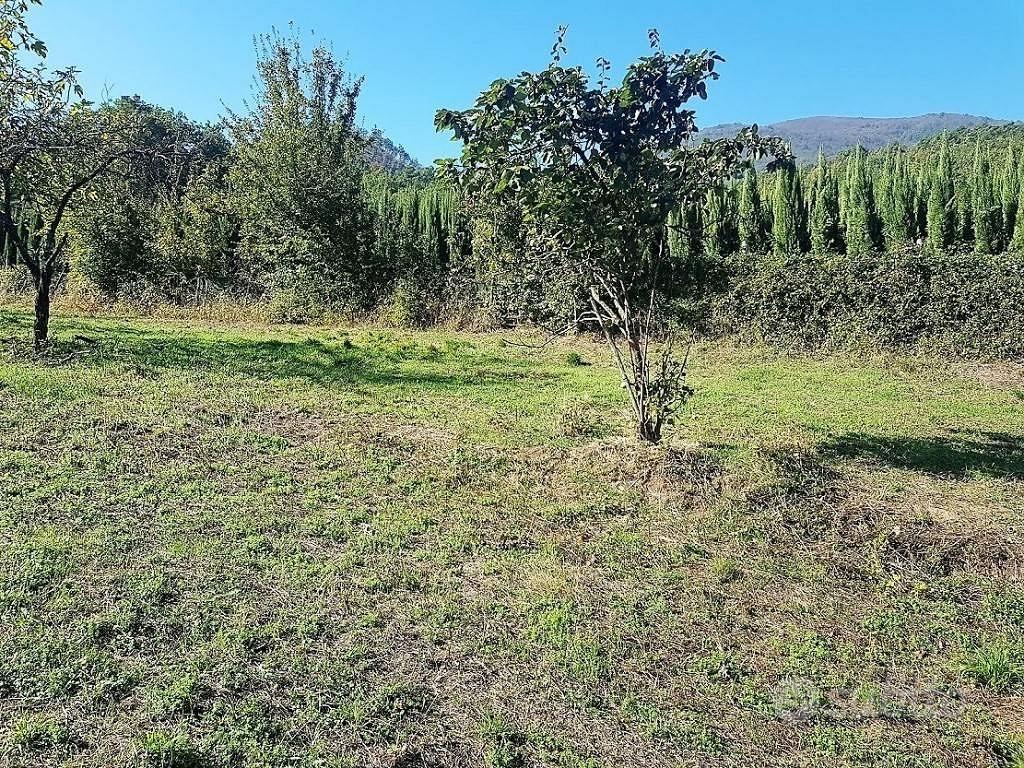 Terreno di 3000 m² a Lucca - Vista 2