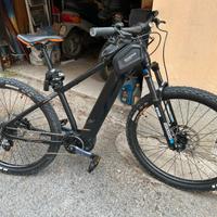Bici elettrica 800w
