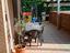 Immagine 19
