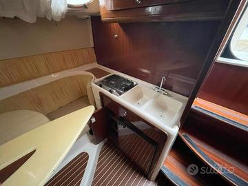 salpa laver 31.5
