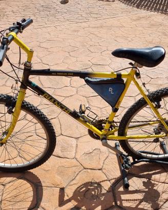 bici MTB bianchi