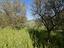 Immagine 10