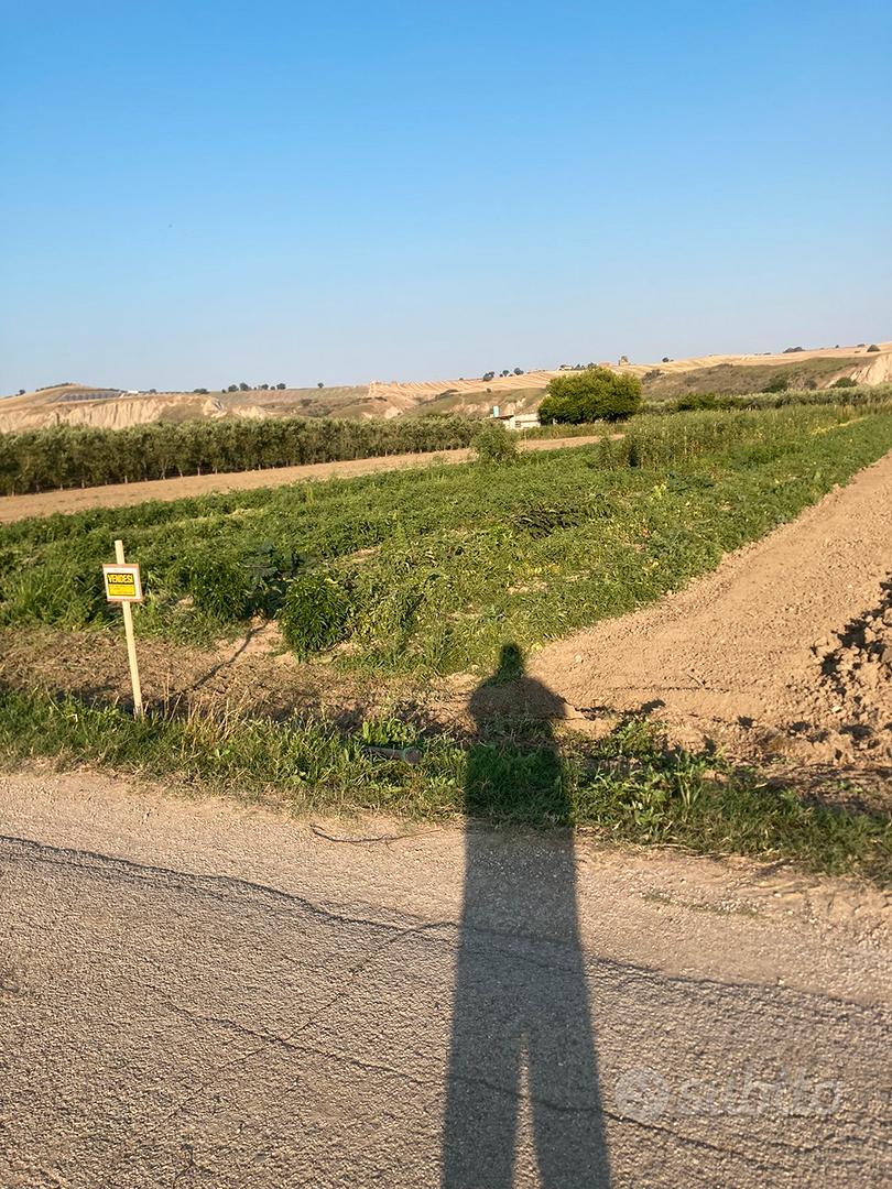 Vendita terreno agricolo - Vista 2