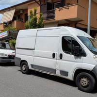 trasporto Sgombri 