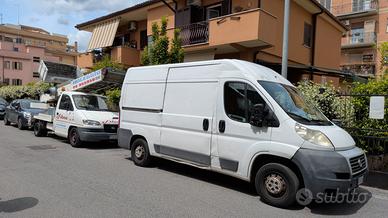 trasporto Sgombri 
