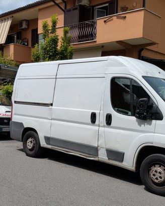 trasporto Sgombri 