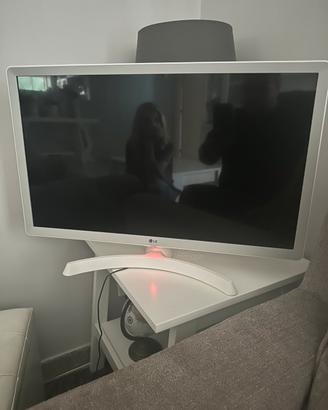 Tv. Monitor 28pollici. LG