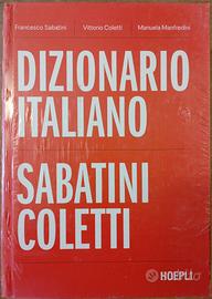 Dizionario italiano