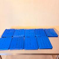 9 piastre refrigeranti professionali Thermos 1kg