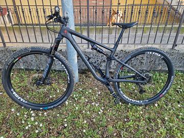 specialized epic evo