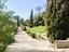 Immagine 7