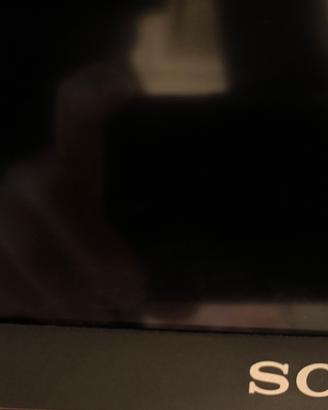 TV Sony 55 pollici 