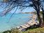 Immagine 19