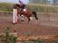 Immagine 4
