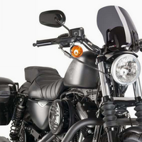 Cupolino Harley Davidson Sportster 1200