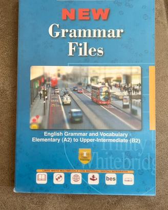 Libro inglese New Grammar Files