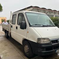 Fiat ducato cassonato