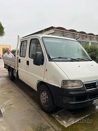 Fiat ducato cassonato