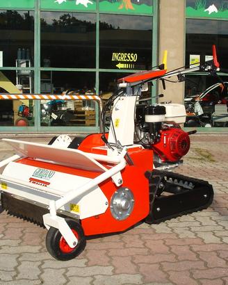 Mototrincia Cingolata Tekna TTC 80 Honda GX Profes