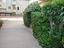 Immagine 21