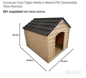 Kennel box cane