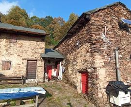 Rustico con terreno