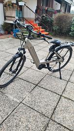 BICI CON PEDALATA ASSISTITA 