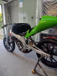 Derbi GPR 80  Malossi.