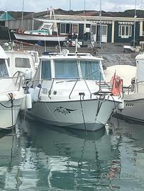 pilotina 7 metri con fuoribordo 150 hp