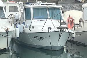 pilotina 7 metri con fuoribordo 150 hp