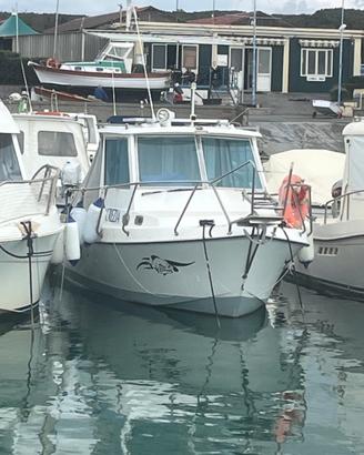 pilotina 7 metri con fuoribordo 150 hp