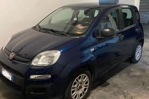 FIAT panda 2018  km.43000