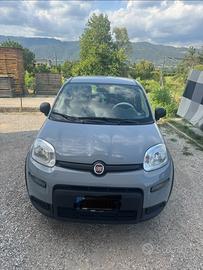FIAT PANDA (2022) unico proprietario