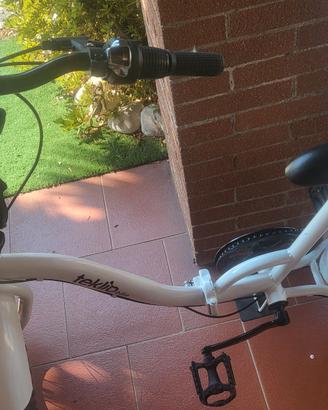 Bicicletta pieghevole l