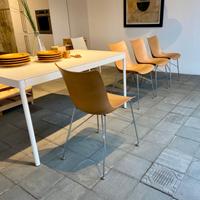 SEDIE KARTELL P wood set sedie in legno curvato 3d