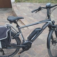 Bicicletta eletteica