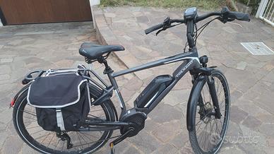 Bicicletta eletteica