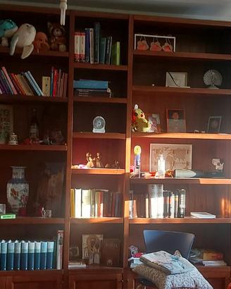 Libreria in massello