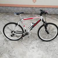 Bicicletta mouintan bike Raleigh ml06